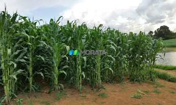 Imagem 7: PARAOPEBA - Fazenda - Zona Rural