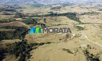 Imagem 7: CAMPO BELO - Fazenda - Zona Rural