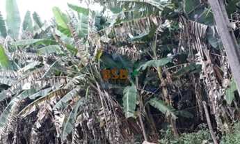 Imagem 3: Sítio de 68ha - BR190, próximo ao DF