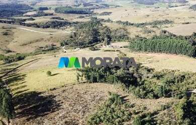 Imagem 5: CAMPO BELO - Fazenda - Zona Rural