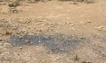 Imagem 2: Terreno à venda, 300 m² por R$ 399.000,00 - Loteamento Jardim Nova Europa - Poços de Calda