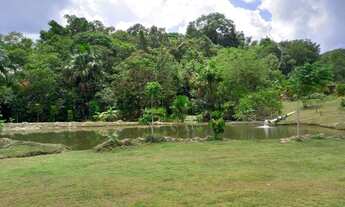 Imagem 5: Sítio no KM 26 da AM 010, bom para viveiro de peixe
