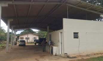 Imagem 5: Vende-se fazenda 40 alqueires em Trindade-Go