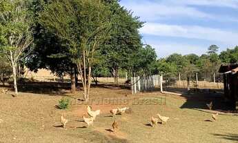 Imagem 3: Fazenda para Venda em Cajuru, Area Rural, 4 dormitórios, 4 suítes, 6 banheiros, 10 vagas