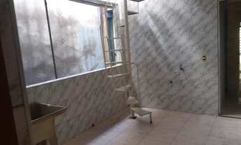 Imagem 5: Aluga se casa Casa com 2 dormitórios