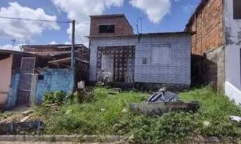 Imagem: Casa em jardim primavera