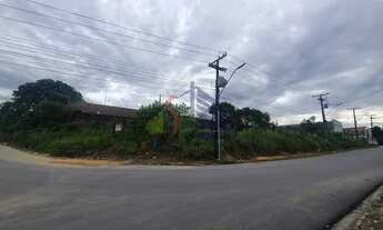 Imagem 5: Terreno de 1.806m2 no Distrito Industrial - bairro Armando Mendes - Manaus