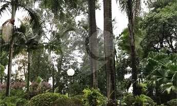 Imagem 5: São Paulo - Apartamento Padrão - SANTO AMARO