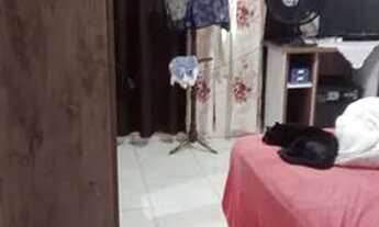 Imagem 6: Linda Casa no Rio da Luz