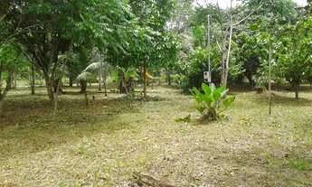 Imagem 3: Terreno em Mosqueiro