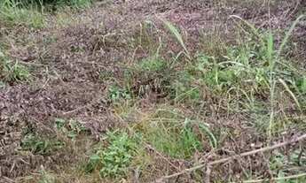 Imagem 4: Terreno 65.000m², as margens do Rio das Velhas, Jaboticatubas