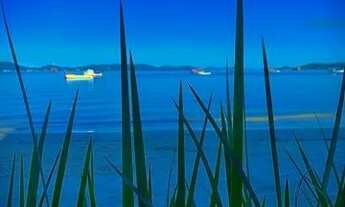 Imagem: Vendo um paraíso !! Casa de praia pé na