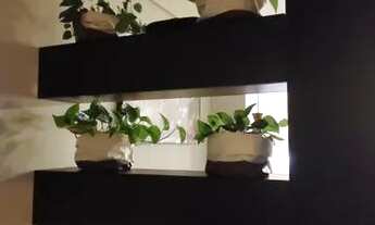 Imagem 2: Restaurante no Litoral