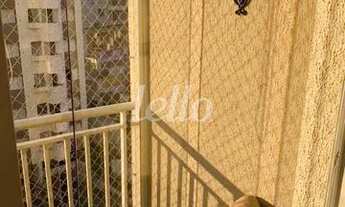 Imagem: São Paulo - Apartamento Padrão - Belenzinho