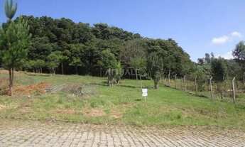 Imagem 4: Caxias Do Sul - Terreno Padrão - Desvio Rizzo