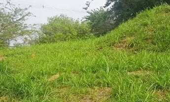 Imagem 6: SOUSAS - Terreno Padrão - San Conrado