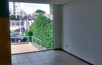 Imagem 3: Casa para alugar, 250 m² - Centro - São José do Rio Preto/SP