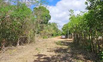 Imagem 6: VENDO 20 hectares, TERRENO NA BR343, ENTRE TERESINA/ALTOS