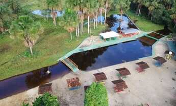 Imagem 2: Oportunidade Única! Chácara / Sítio / Balneário à Venda na BR-174 - Km 30