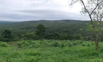 Imagem 3: Fazenda à venda 240 alqueires em Marzagão-Go
