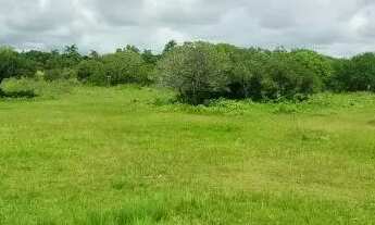 Imagem 6: Oportunidade Exclusiva no Laranjal: Terreno com 432m² para o seu Melhor projeto!