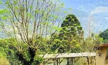 Imagem 4: Sítio / Chácara para Venda em Nova Petrópolis, Linha Araripe