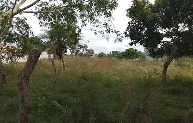 Imagem 5: OPORTUNIDADE - Terreno 6.000m2 renegocio o valor