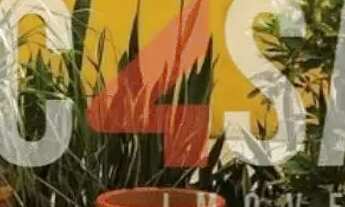 Imagem 5: EXCELENTE PRÉDIO COMERCIAL PARA SEU NEGÓCIO!