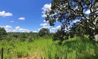 Imagem 5: Fazendinha 2 ha, plano, 100% formado em baquearia, todo terra de cultivo,Jaboticatubas