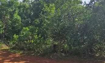 Imagem 3: Terrenos para Chácara de 2500m² - Ótima Localização e Preço Abaixo do Mercado