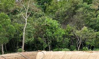 Imagem 2: Agio Chácara 01 Alqueire- OPORTUNIDADE