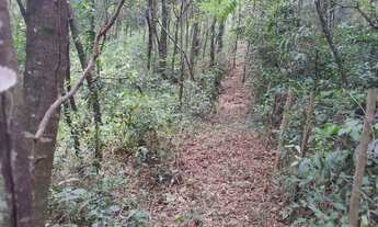 Imagem 4: Ótimo terreno 9000m2