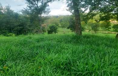 Imagem 5: Imóvel para venda tem 200 metros quadrados com 3 quartos em Centro - Anicuns - GO