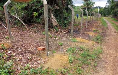 Imagem: Terreno sitio