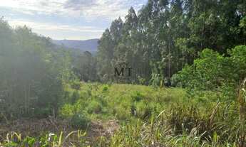 Imagem 2: Área de terra bairro Jammerthal, Picada Café.RS Ref.:165