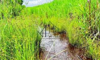 Imagem 3: Fazenda 9,5 Alqueires - Piracanjuba - GO