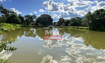 Imagem 6: Sitio 5 alqueires (24,2 hectares) São Miguel do Passa Quatro - GO
