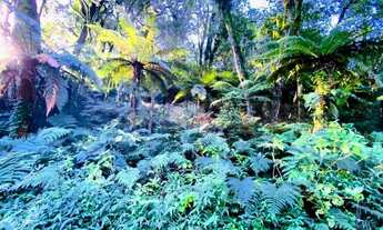 Imagem 4: A venda terreno de 7.620m², localizado em Canela