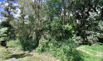 Imagem 2: Terreno em Condomínio - Bairro Pinheiro Grosso