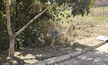 Imagem 4: TERRENO OURO VERMELHO II - 991,8 M² - VIZINHO DE ÁREA DE PRESERVAÇÃO AMBIENTAL