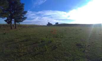 Imagem 6: Sítio em São Francisco de Paula!