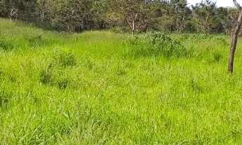 Imagem 5: Vendo gleba 2hectares região da comunidade Palmeira com córrego e terra de cultura