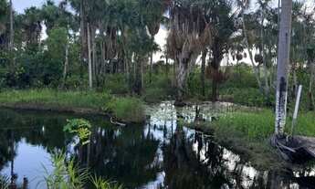 Imagem 4: Chácara com banho, sem benfeitorias, a 30 minutos de Boa Vista.