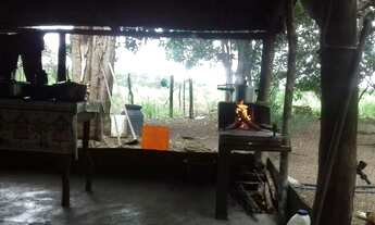 Imagem 3: Sítio oportunidade, 11 alqueire