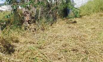 Imagem 2: Terreno Plano de 500m2 com linda vista