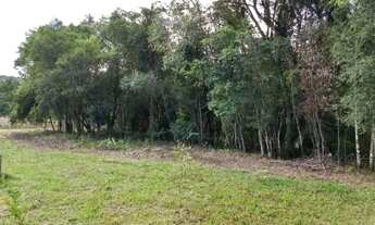 Imagem 6: Terreno/Sítio Rolante-RS 6.591,00 m²