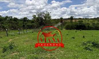 Imagem 7: FAZENDA DE 107 HECTARES (22 ALQ) - FORMOSA GO