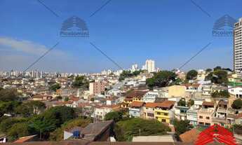 Imagem 5: Casa à venda no Cambuci, São Paulo-SP: 5 quartos, 2 salas, 3 banheiros, 1 vaga de garagem