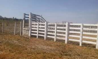 Imagem 7: Fazenda 203 Hectares/13 Divisões Pastagem/Opção Plantio Frutas,4 poços Artesiano.