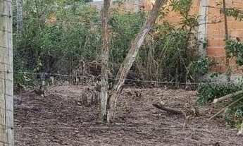 Imagem 5: Terreno 450m² com RGI e escritura em meu nome